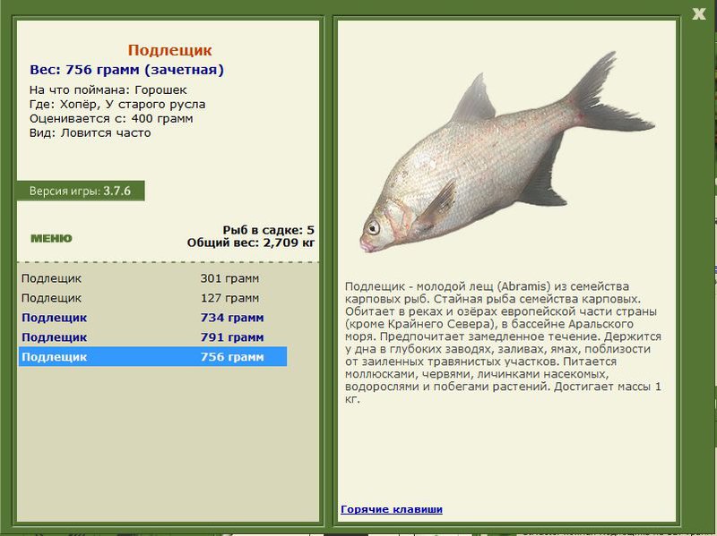 РУССКАЯ РЫБАЛКА Installsoft Edition 