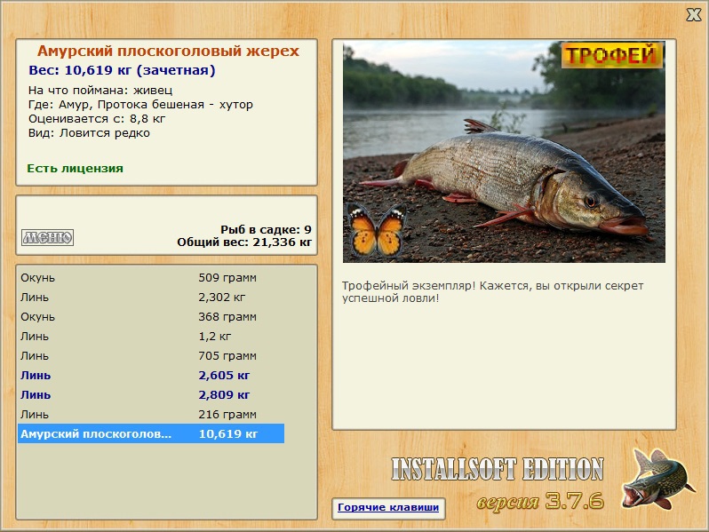 Амурский плоскоголовый жерех 