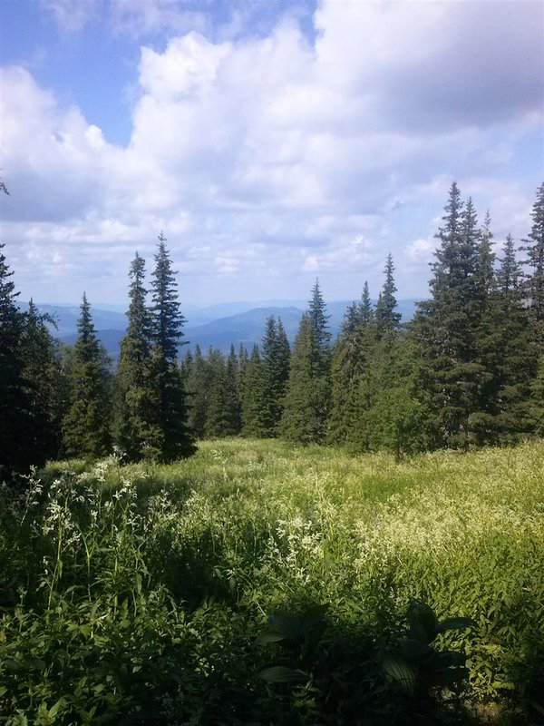  Страница 2 - Форум \\