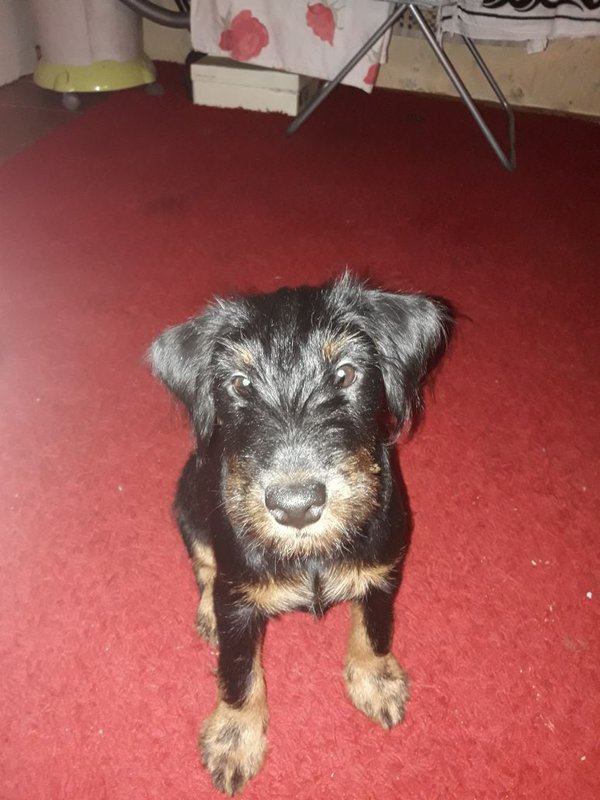  Страница 30 - hunt72.ru | КЛУБ ОХОТНИКОВ СИБИРИ (ТЮМЕНЬ, ХМАО-Югра, ЯНАО)