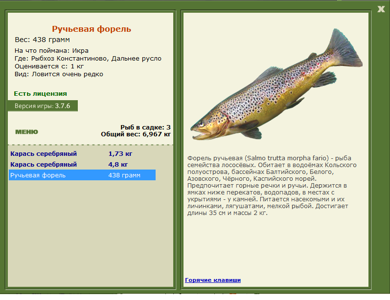 Дальнее русло 