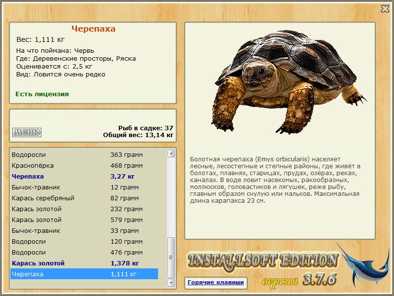 турниры • РУССКАЯ РЫБАЛКА
