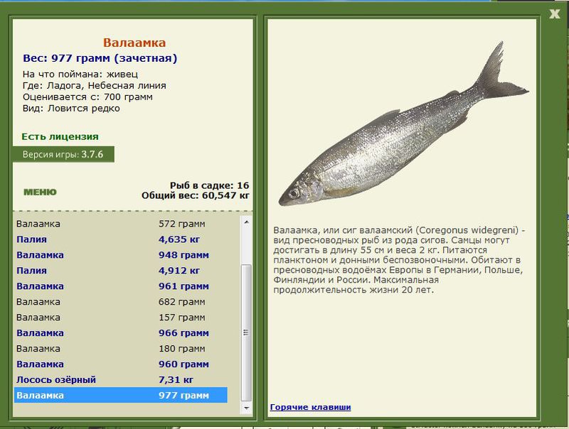 РУССКАЯ РЫБАЛКА Installsoft Edition 