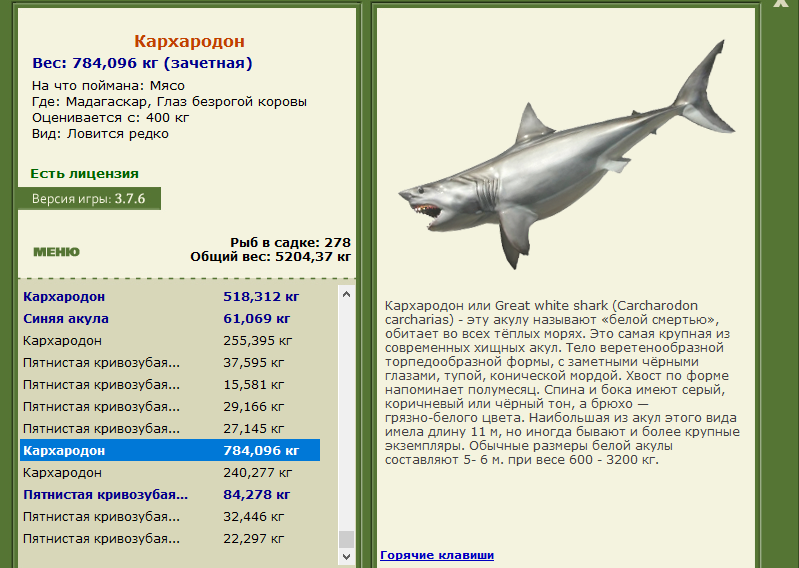Глаз безрогой коровы 