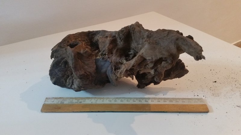  Начать новую тему