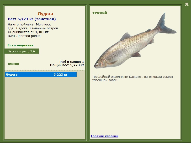 Лудога 