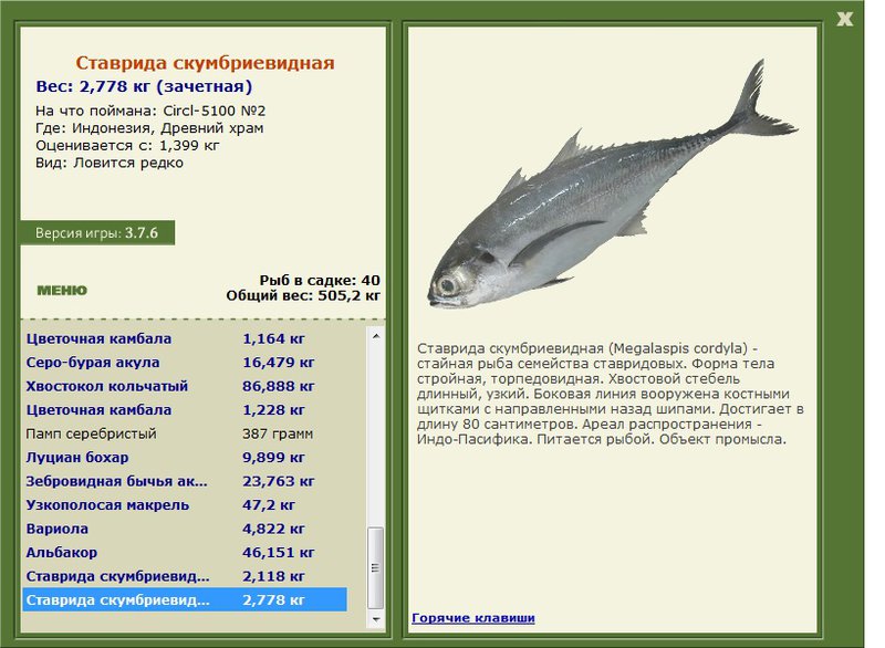 турниры • РУССКАЯ РЫБАЛКА