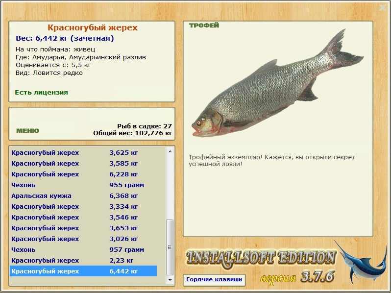 Амударьинский разлив 