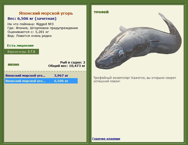 Японский морской угорь 