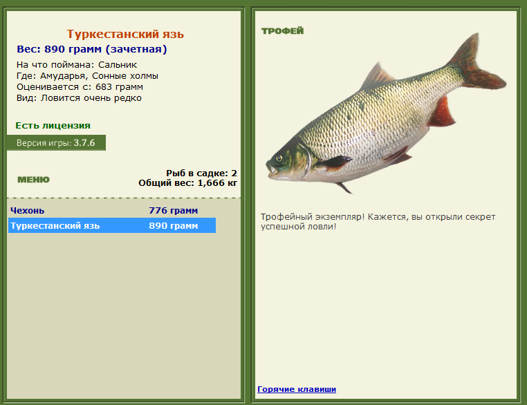 турниры • РУССКАЯ РЫБАЛКА