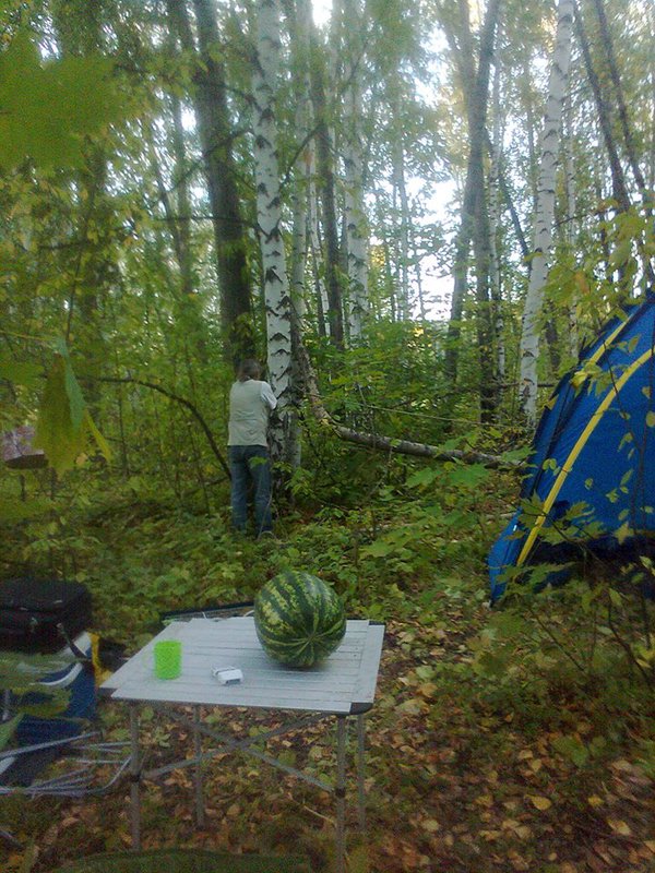  Страница 6 - Форум \\