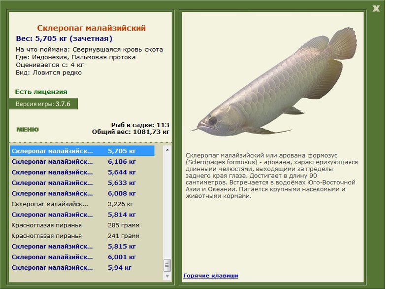турниры • РУССКАЯ РЫБАЛКА