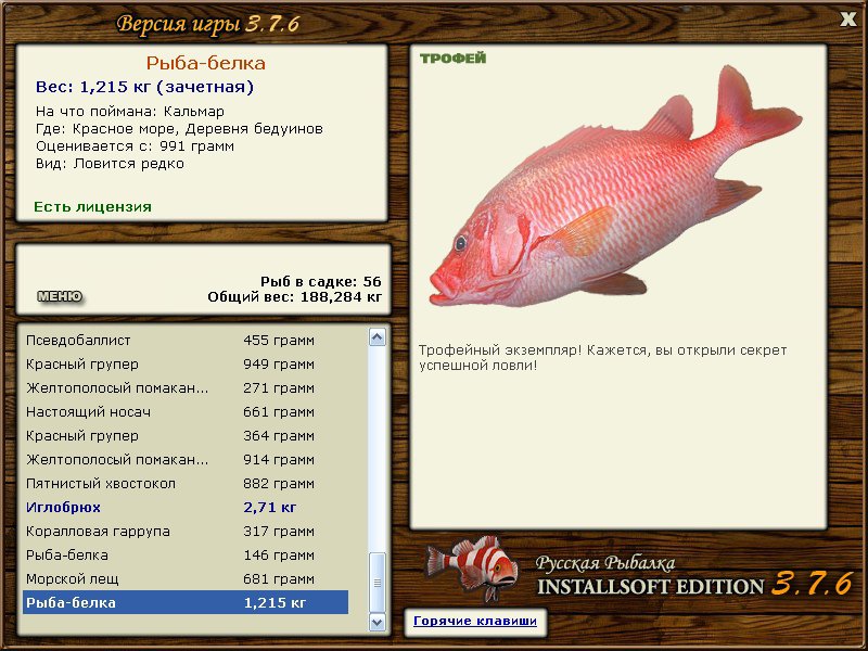 белка • Рыбы • РУССКАЯ РЫБАЛКА