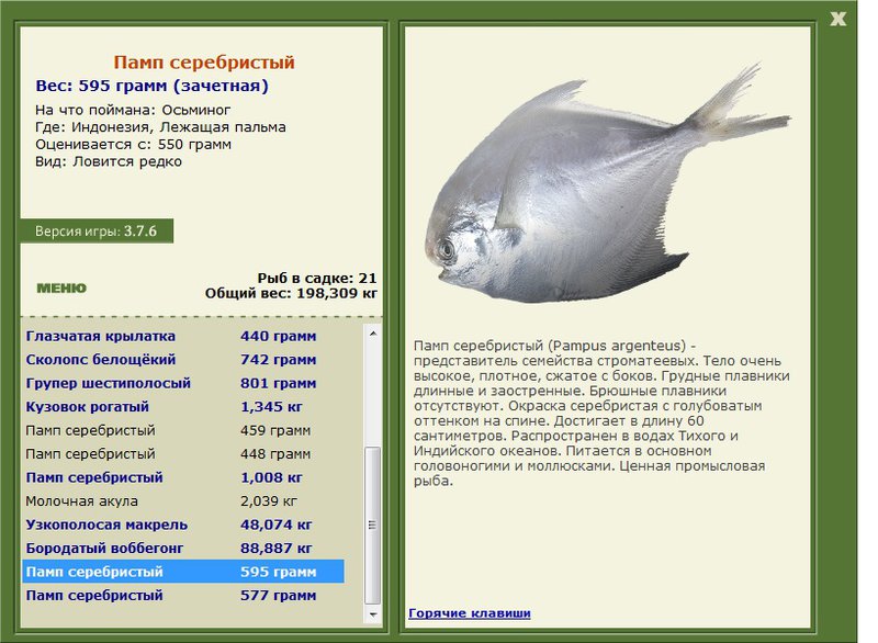 турниры • РУССКАЯ РЫБАЛКА