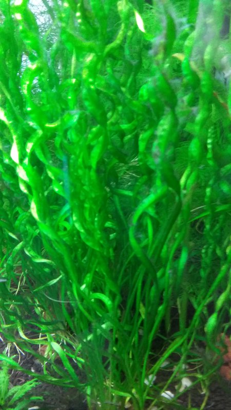  Начать новую тему