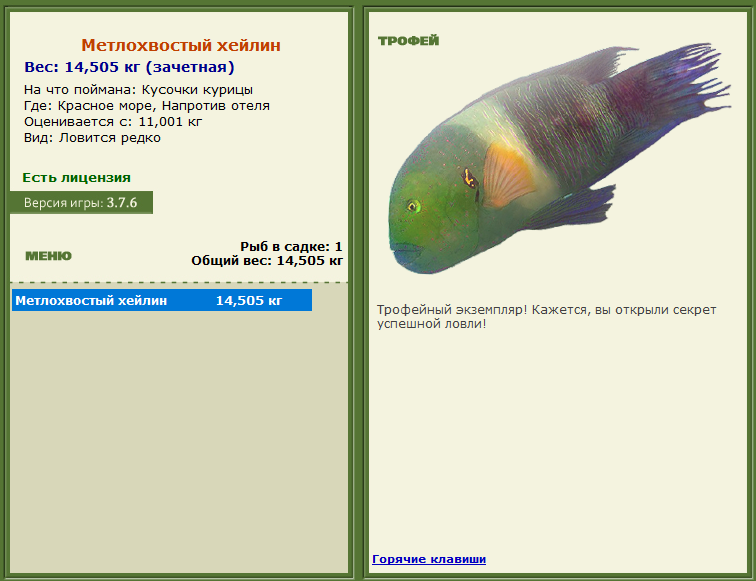 Метлохвостый хейлин 
