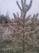  Страница 23 - Форум \\