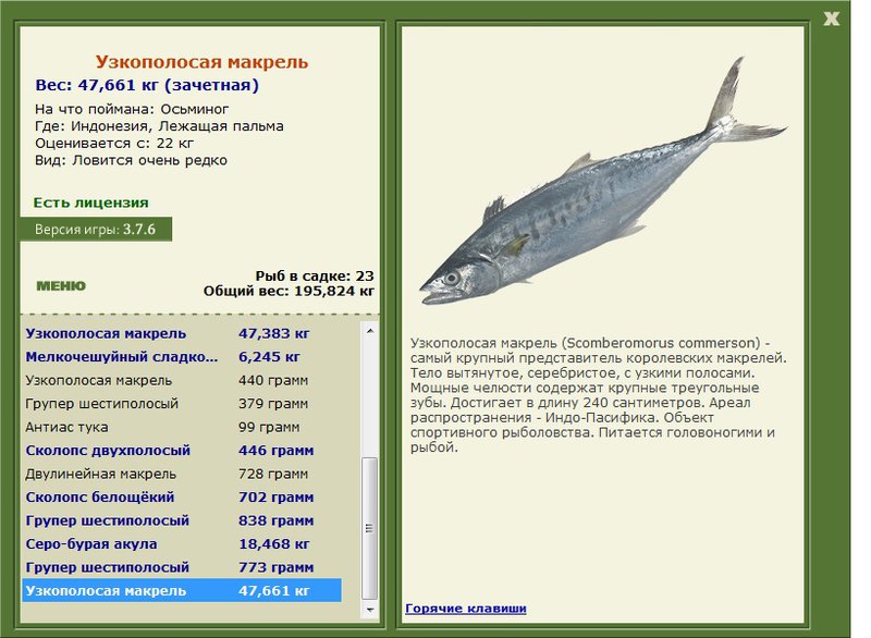 турниры • РУССКАЯ РЫБАЛКА