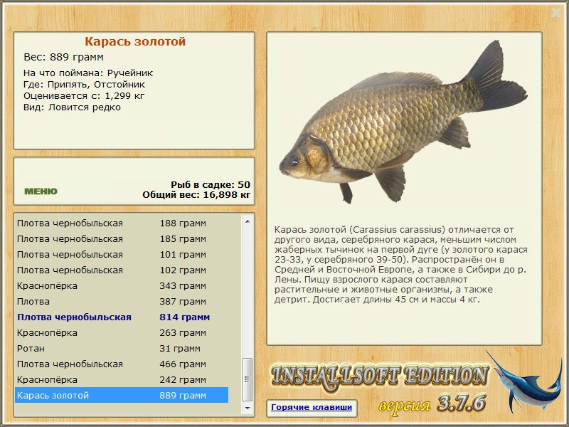 турниры • РУССКАЯ РЫБАЛКА
