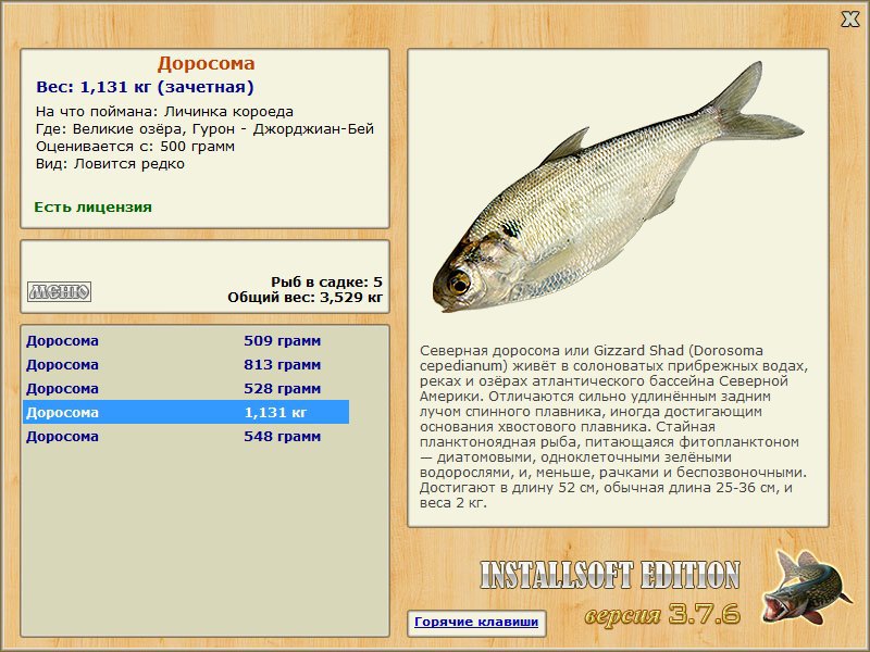  Джорджиан-Бей • Великие Американские озёра • РУССКАЯ РЫБАЛКА