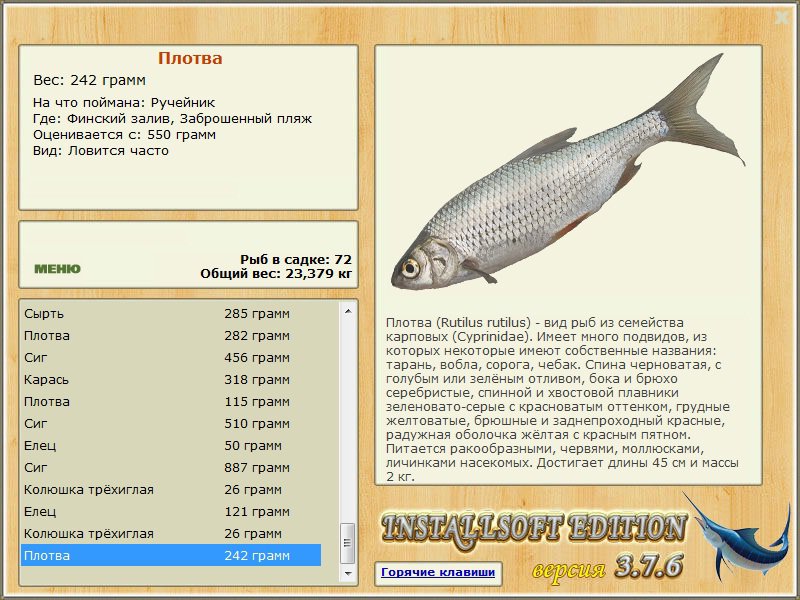 турниры • РУССКАЯ РЫБАЛКА