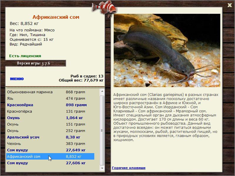 Тишина 