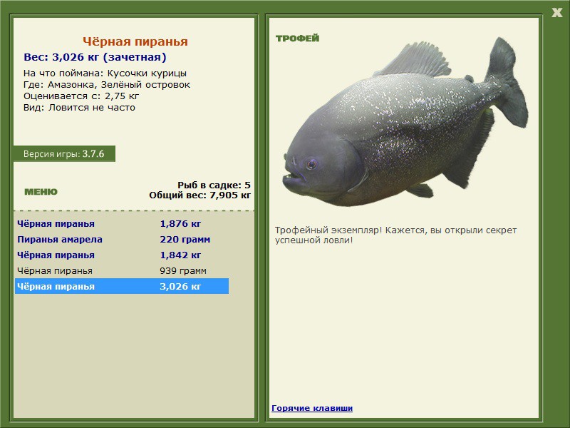 Чёрная пиранья 