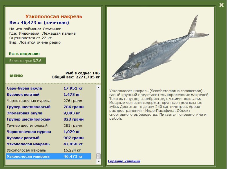 турниры • РУССКАЯ РЫБАЛКА