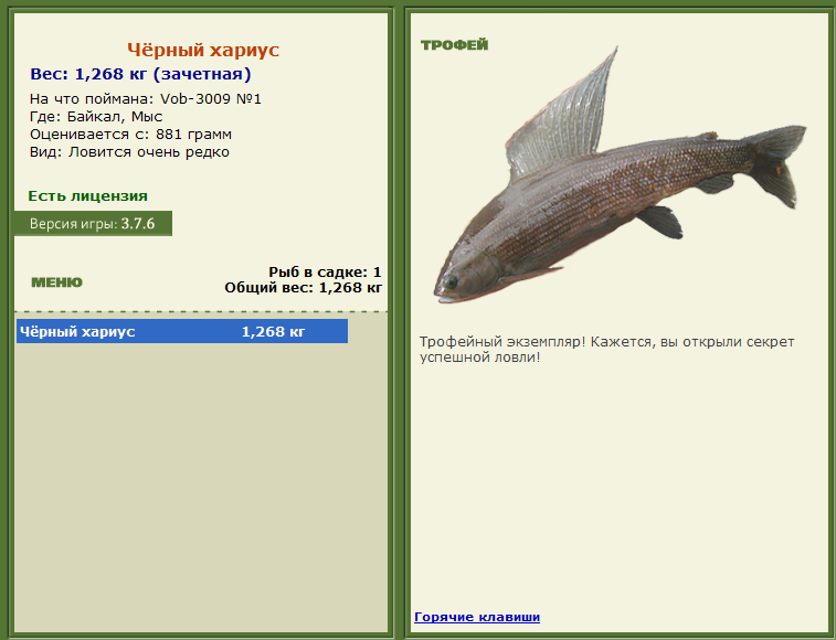 турниры • РУССКАЯ РЫБАЛКА