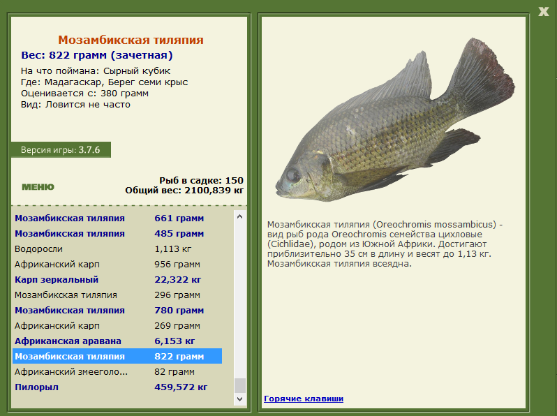 Берег семи крыс 