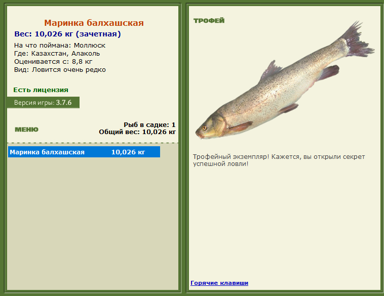 турниры • РУССКАЯ РЫБАЛКА
