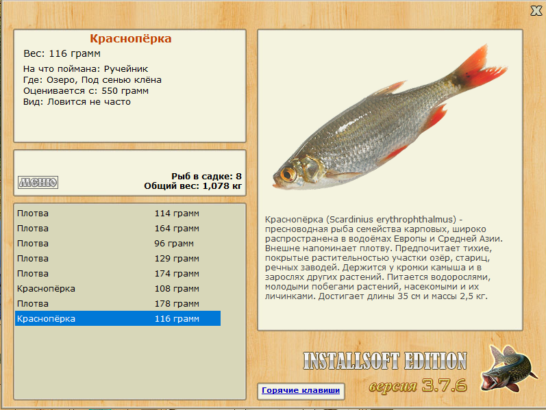 турниры • РУССКАЯ РЫБАЛКА