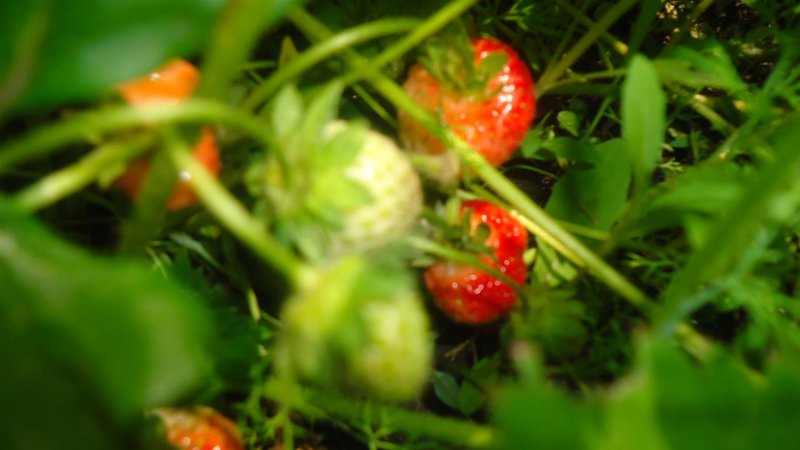  Страница 5 - Форум \\