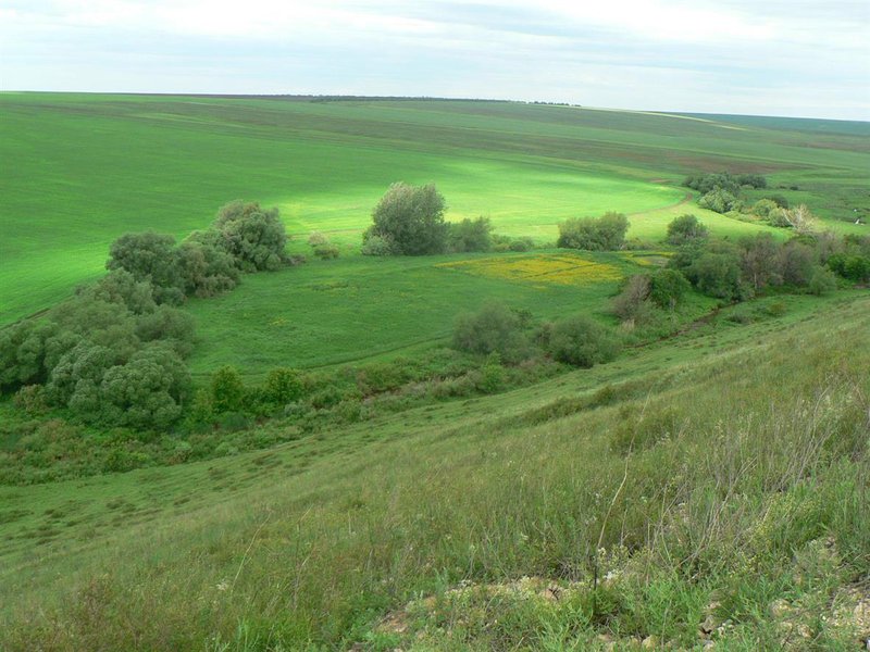  Страница 5 - Форум \\