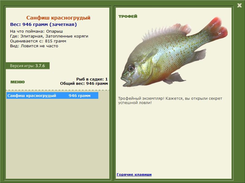 Санфиш красногрудый 