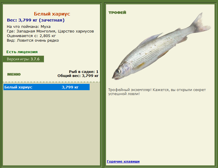 турниры • РУССКАЯ РЫБАЛКА
