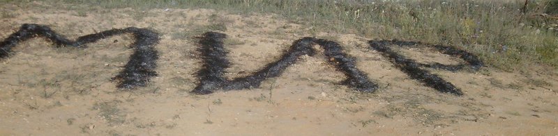 Огненный Мир-Плазма Огня- - Форум \\