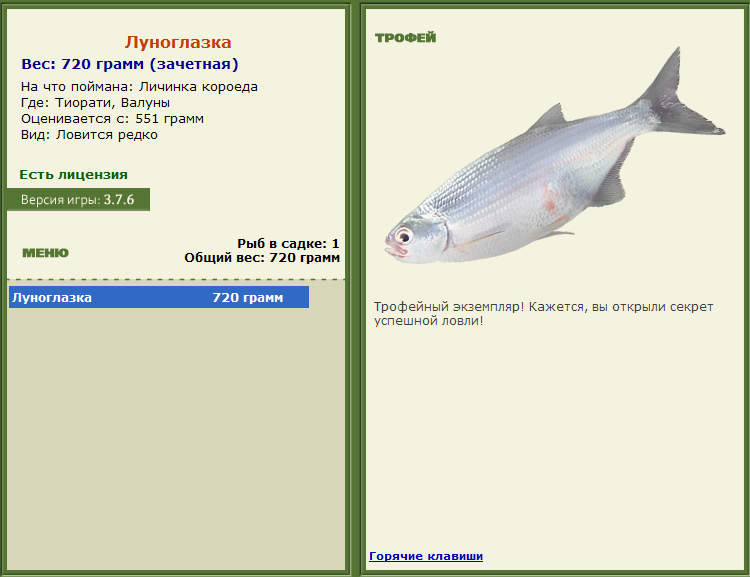 турниры • РУССКАЯ РЫБАЛКА