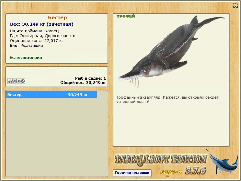 Бестер 