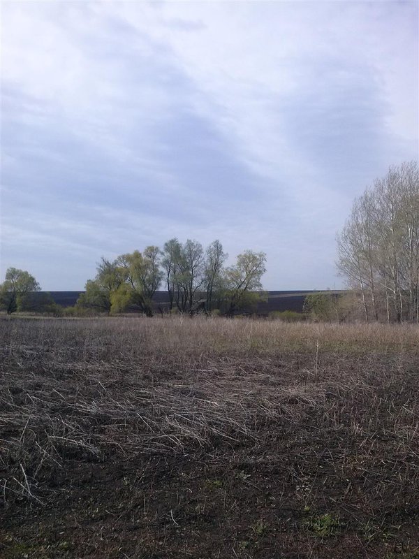  Страница 25 - Форум \\