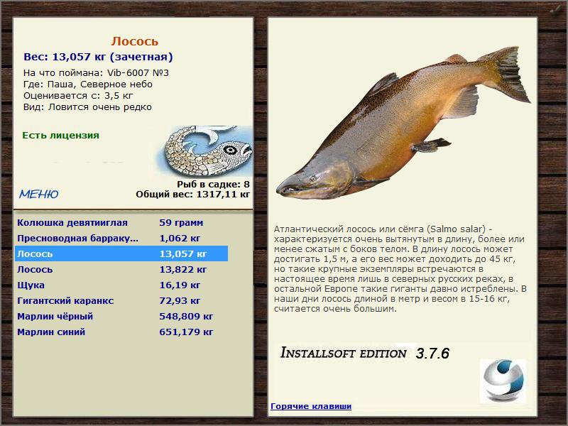 Северное небо 