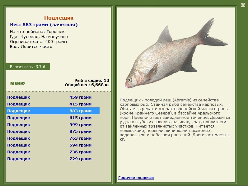 На излучине 