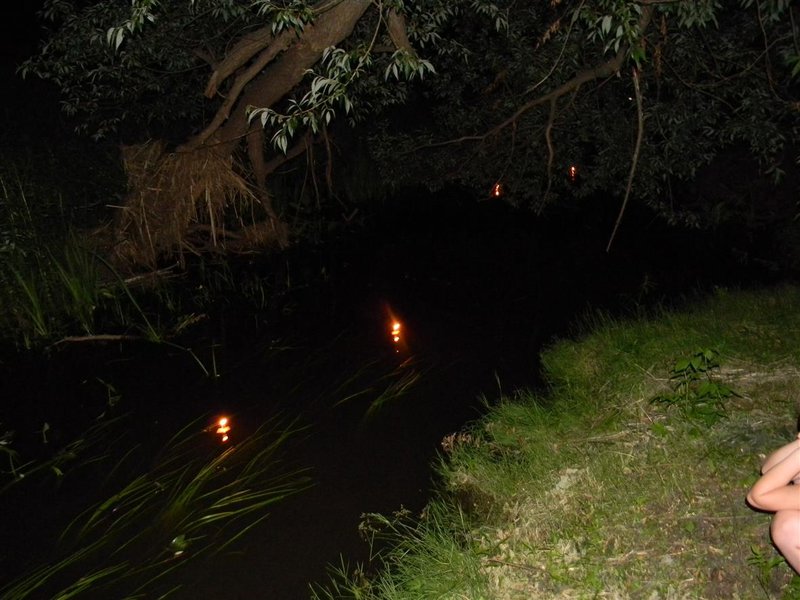 Огненный Мир-Плазма Огня- - Страница 2 - Форум \\