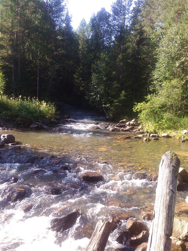  Страница 6 - Форум \\