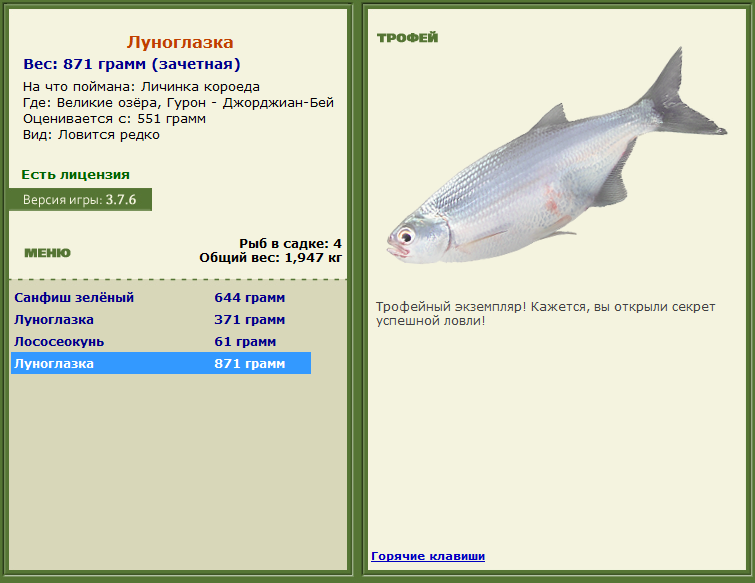 турниры • РУССКАЯ РЫБАЛКА