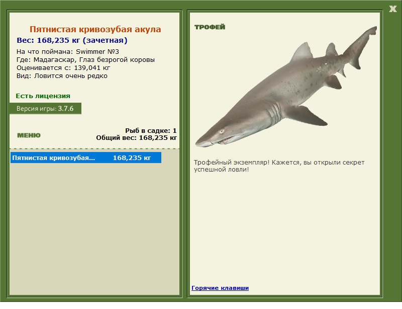 Пятнистая кривозубая акула 