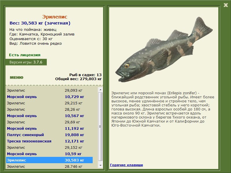 Кроноцкий залив 