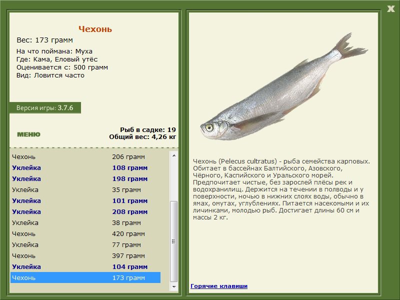 Еловый утёс 