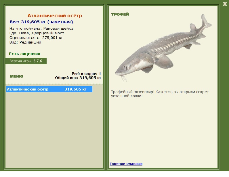 Дворцовый мост 