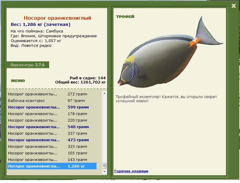 Носорог оранжевоиглый 
